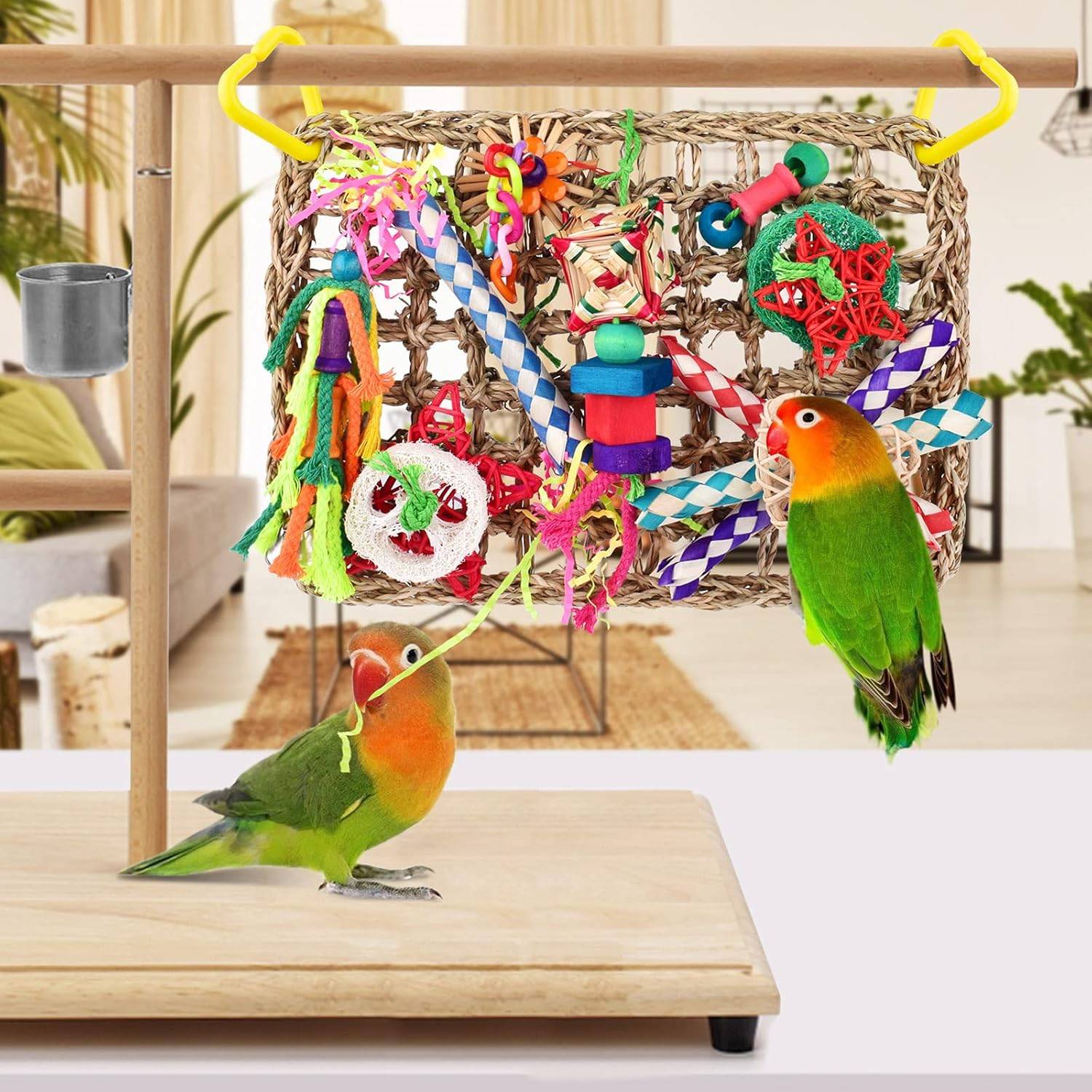 DtopbuyAge - Jeux pour oiseaux - Matériel de forage, chewing, escalade - Image 2