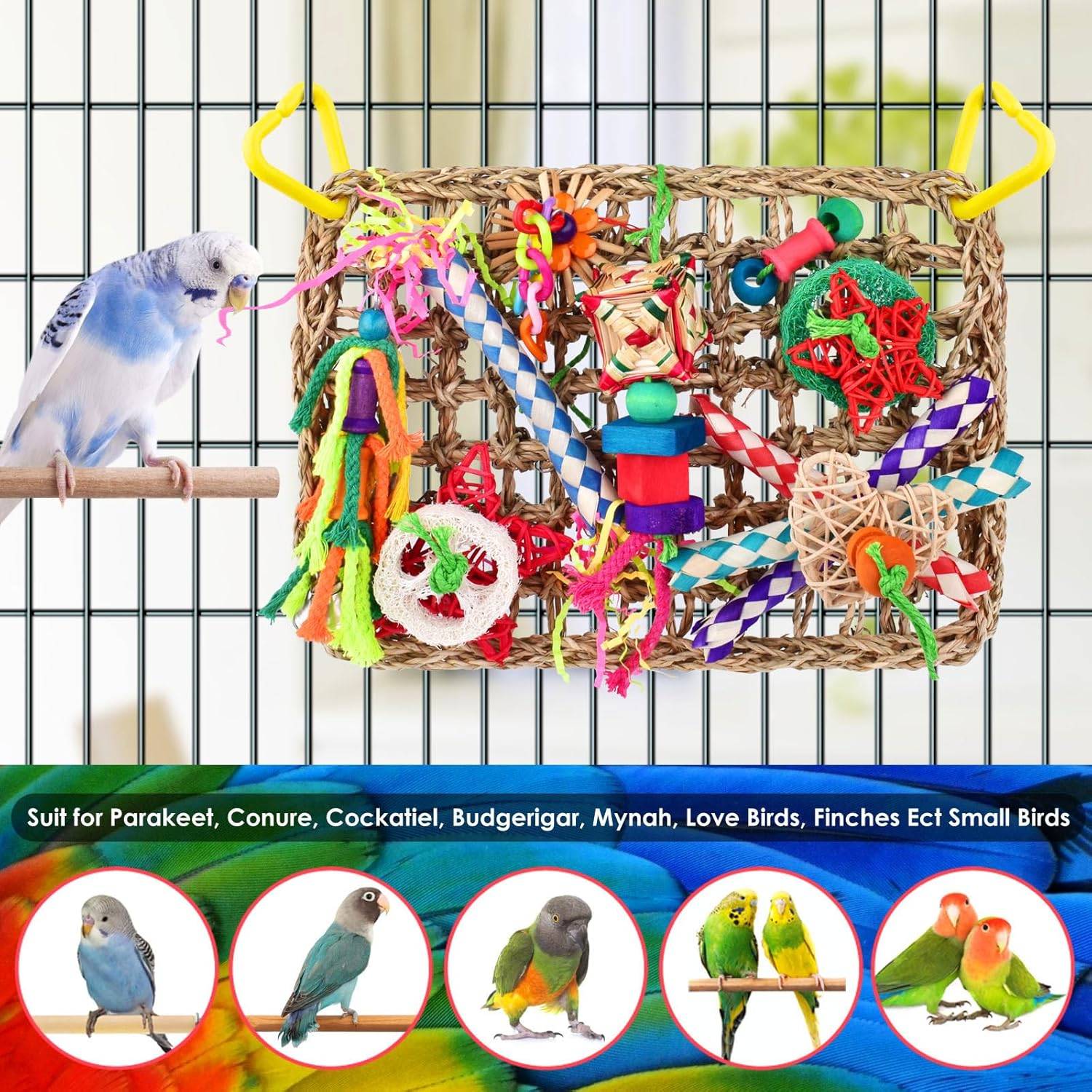 DtopbuyAge - Jeux pour oiseaux - Matériel de forage, chewing, escalade - Image 4