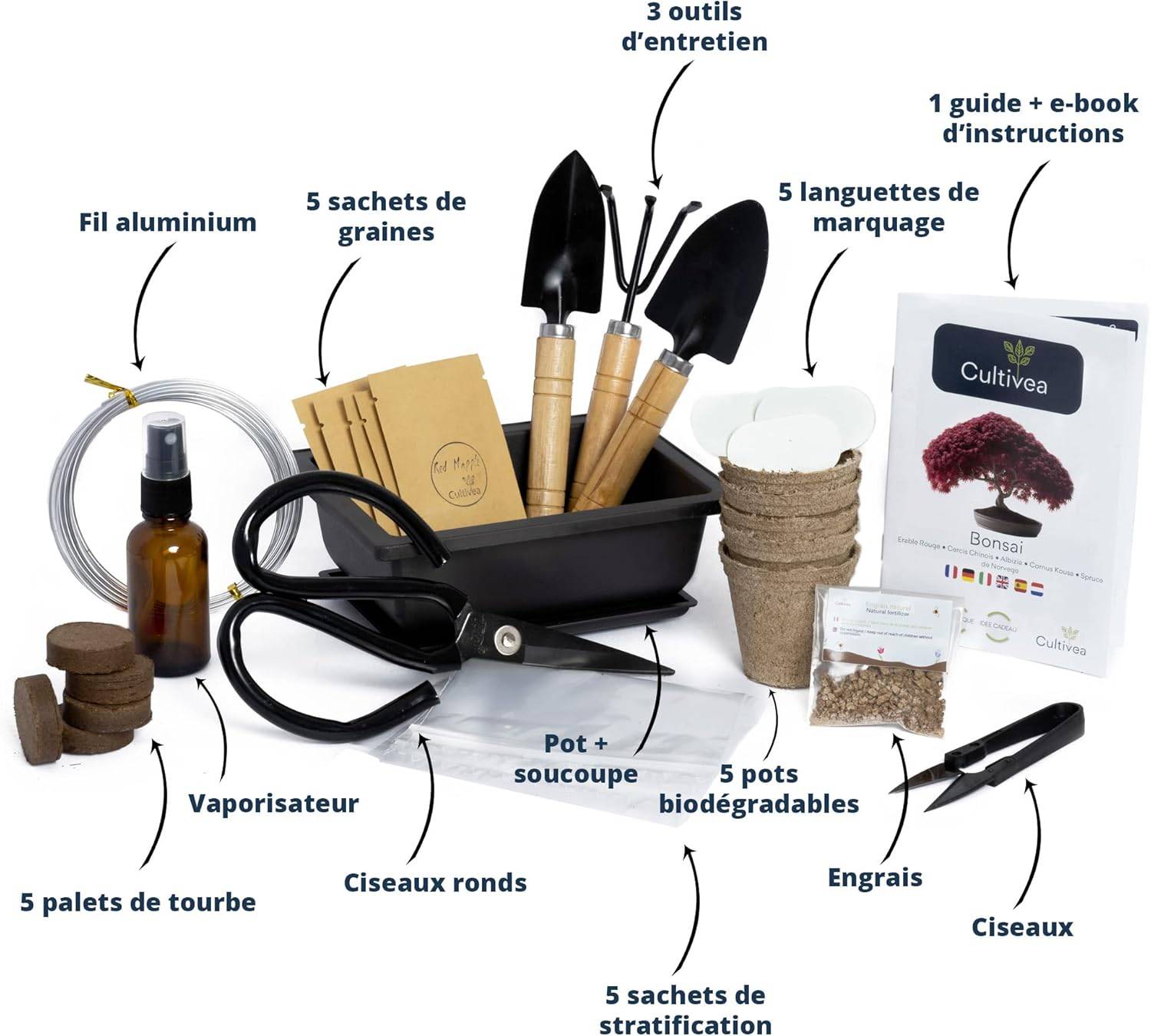 Kit Bonsaï Premium Prêt à Pousser - 6 Graines de Bonsaïs à faire pousser & Accessoires - Image 3