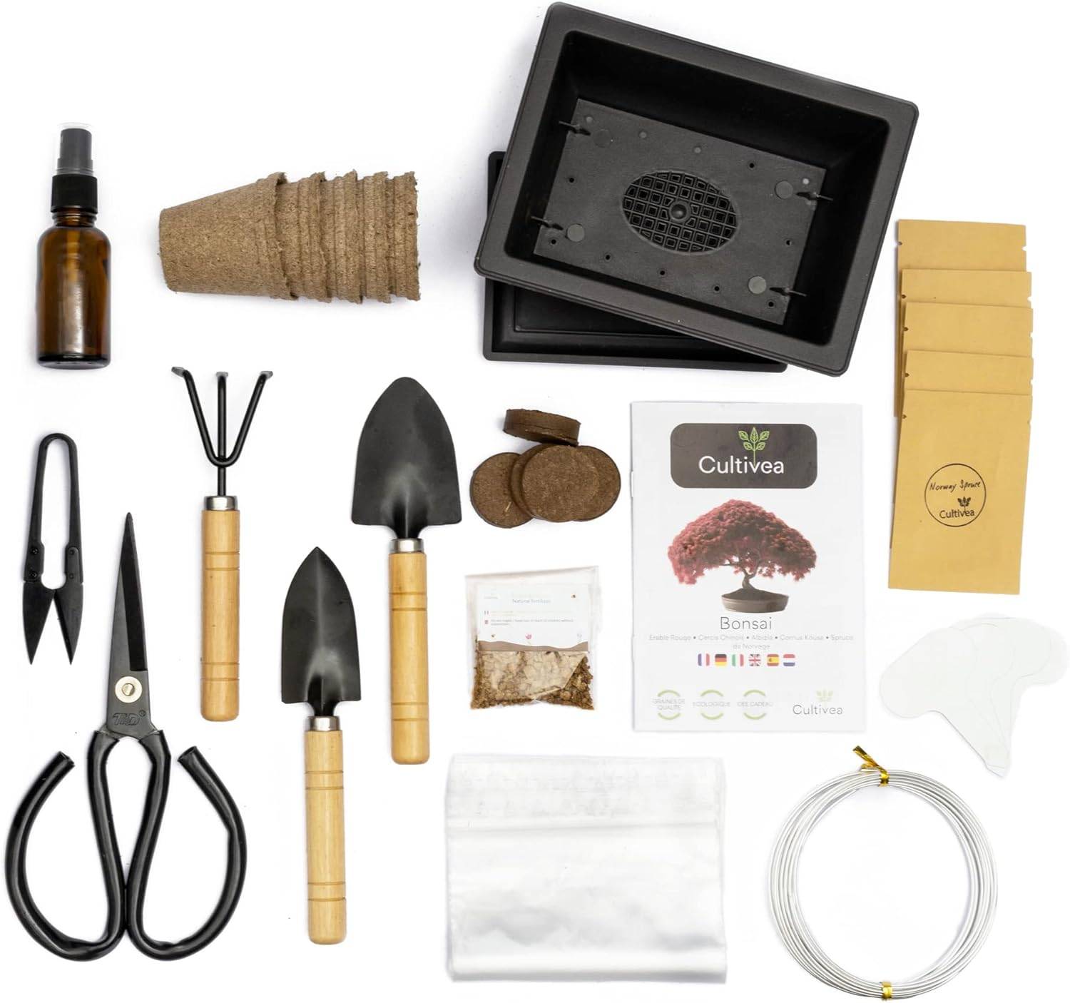 Kit Bonsaï Premium Prêt à Pousser - 6 Graines de Bonsaïs à faire pousser & Accessoires - Image 6
