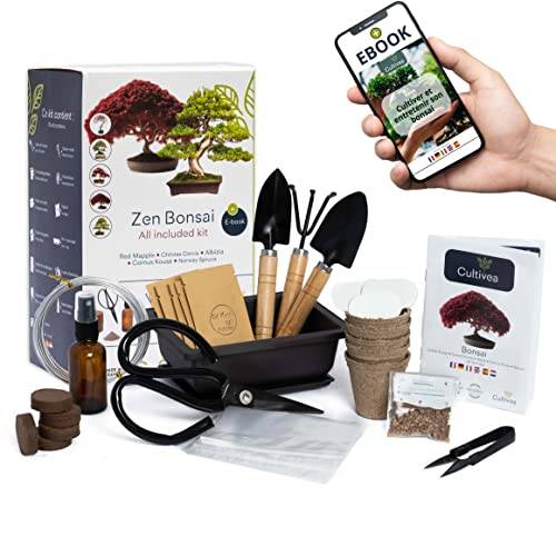 Kit Bonsaï Premium Prêt à Pousser - 6 Graines de Bonsaïs à faire pousser & Accessoires - Image 1