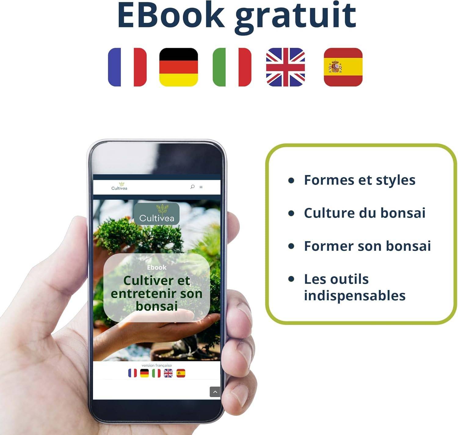 Kit Bonsaï Premium Prêt à Pousser - 6 Graines de Bonsaïs à faire pousser & Accessoires - Image 4