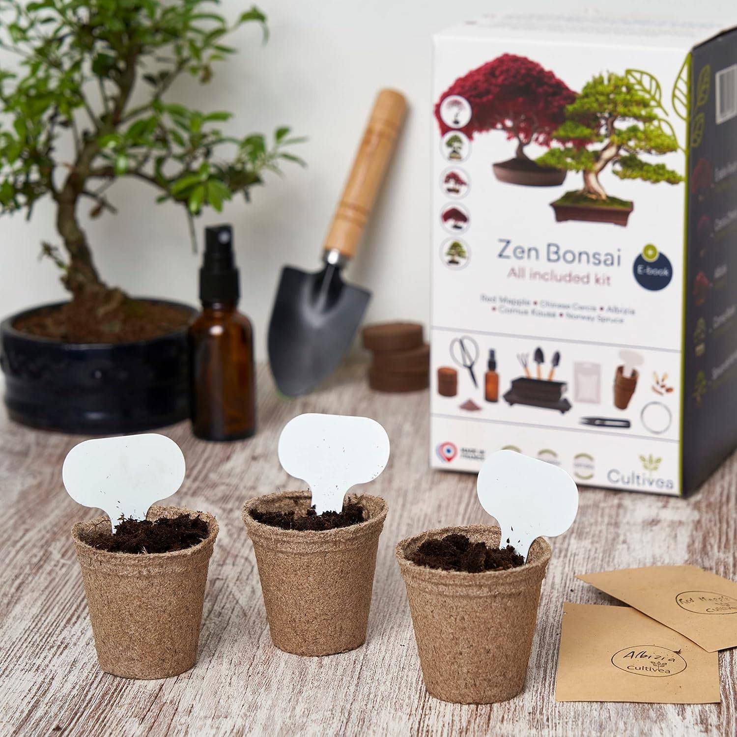 Kit Bonsaï Premium Prêt à Pousser - 6 Graines de Bonsaïs à faire pousser & Accessoires - Image 2