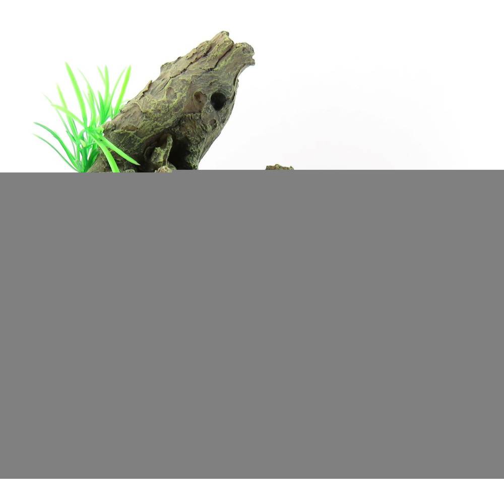 Racine et plante. Taille: 30 x 12 x 27 cm. décoration aquarium - Imagen 6