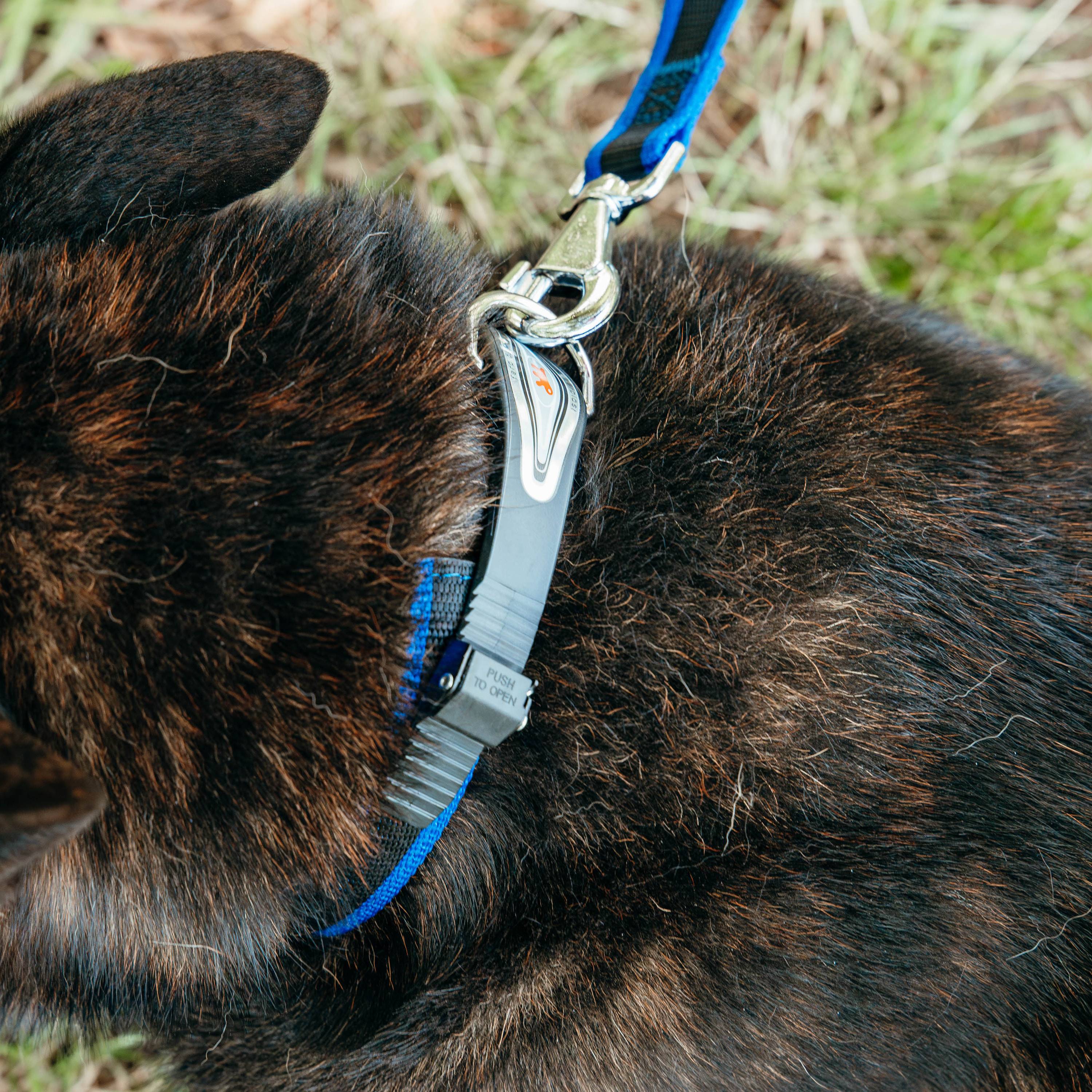 Ferplast - Ferplast Laisse pour chien en nylon ERGOCOMFORT G15/120, Poignée ergonomique, Rembourrage doux, Longueur 120 cm x 2,5 cm, Bleu - Imagen 3
