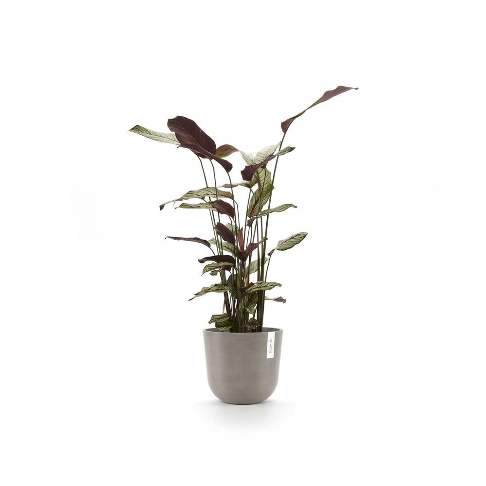 Ecopots - Pot Rond Oslo 25 Taupe - Ø 25 x H. 21,8 cm - 7,7 L ECOPOTS - Imagen 3