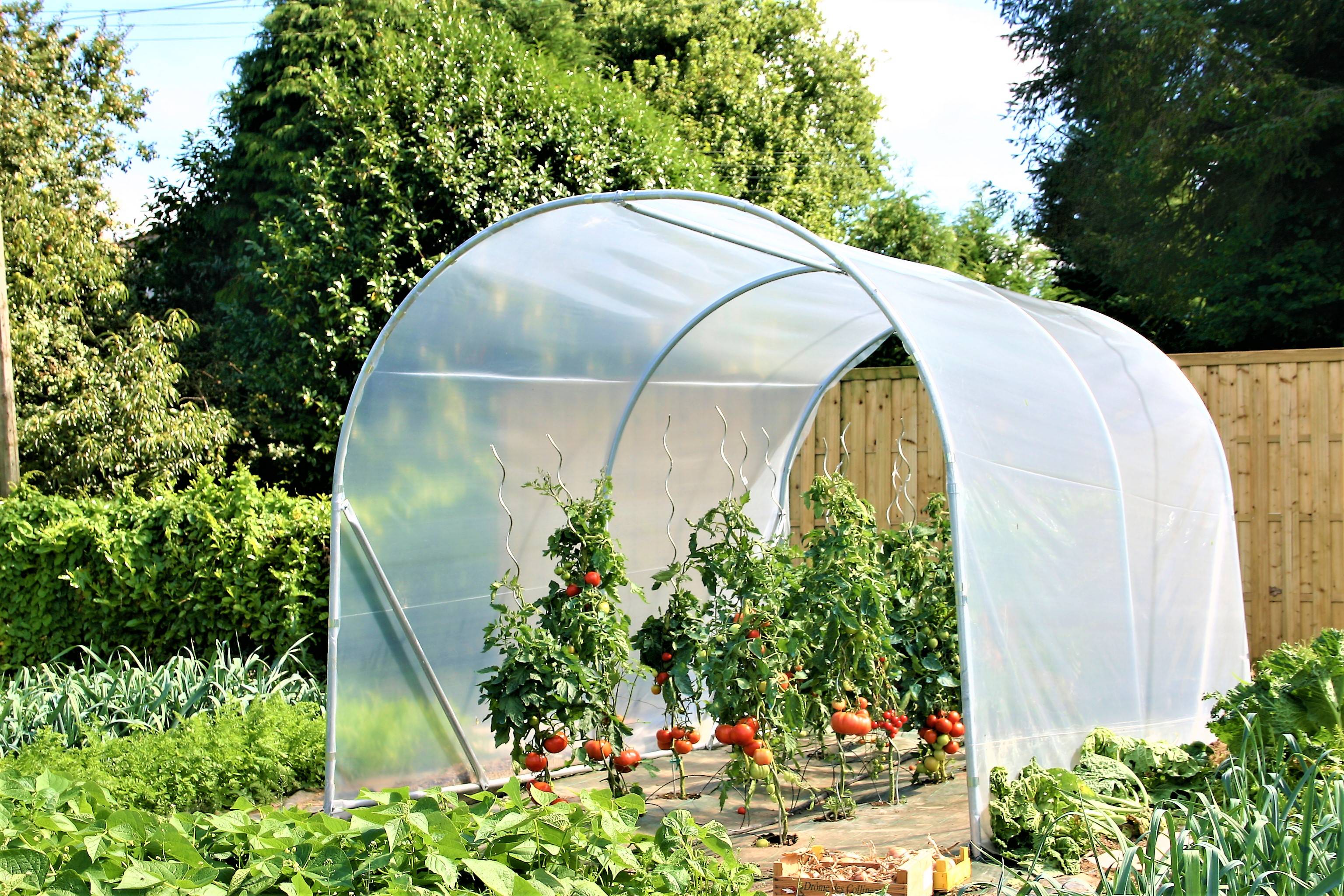 Serre tunnel de jardin à tomates Tomstore 3 mètres de large - 8 mètres de long - Crysland