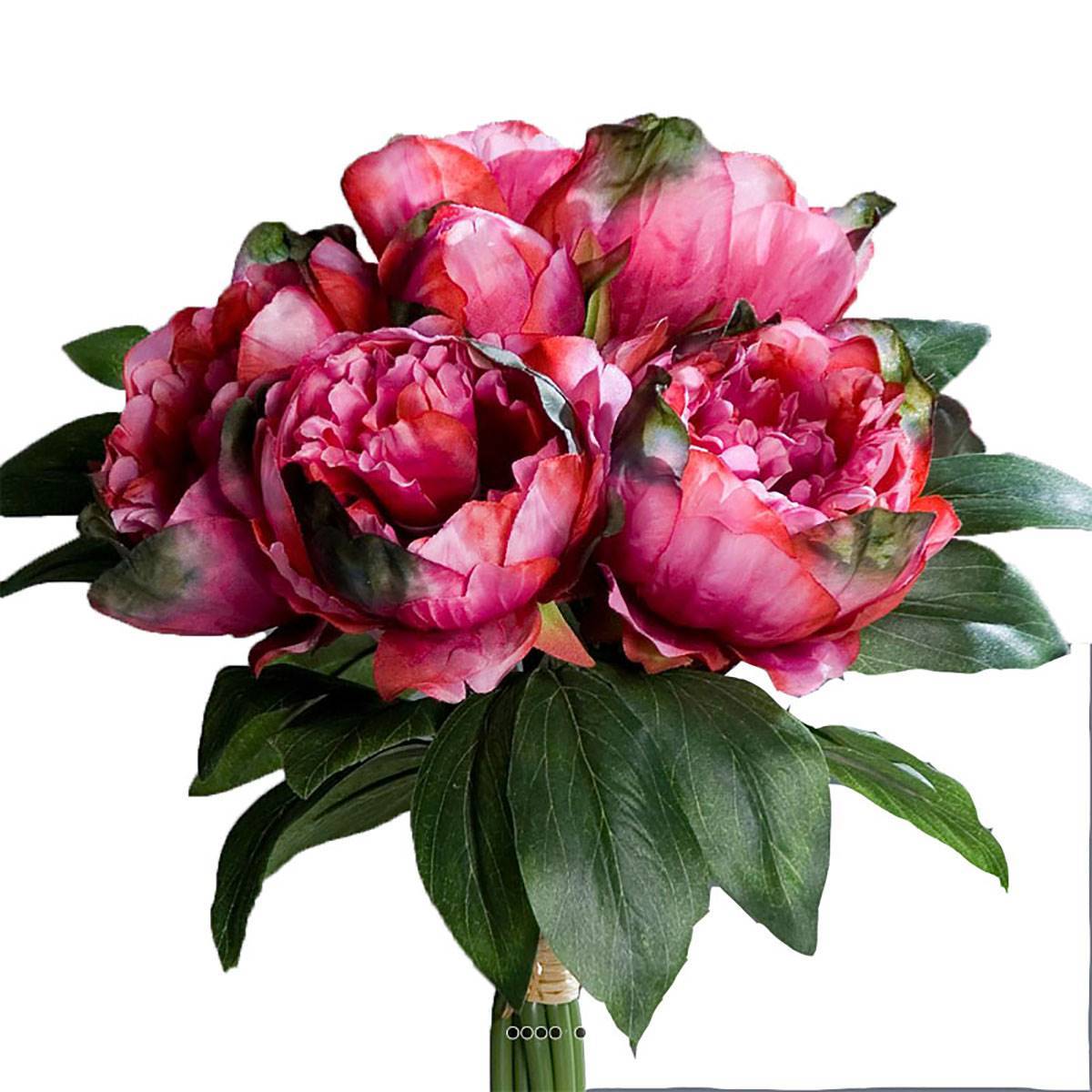Artificielles - Bouquet de Pivoines artificielles 8 têtes Diametre 35 cm Rose fushia - couleur: Rose fushia 730 - Imagen 2