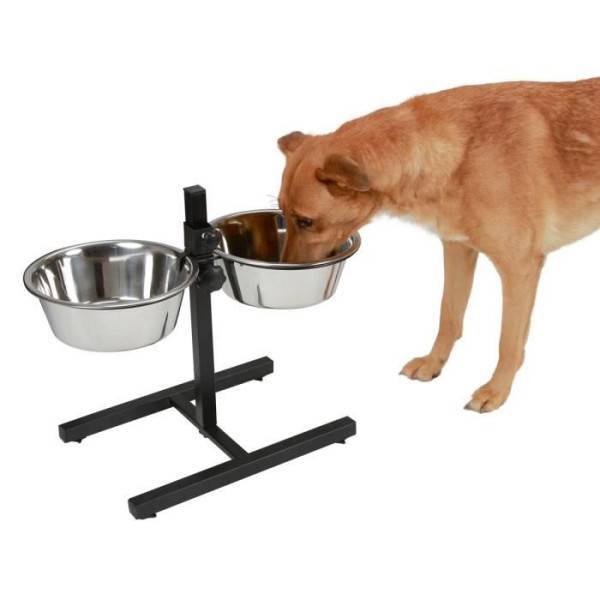 Kerbl Mangeoires d'animaux de compagnie avec support 2x2,8 L 43cm Noir 445244