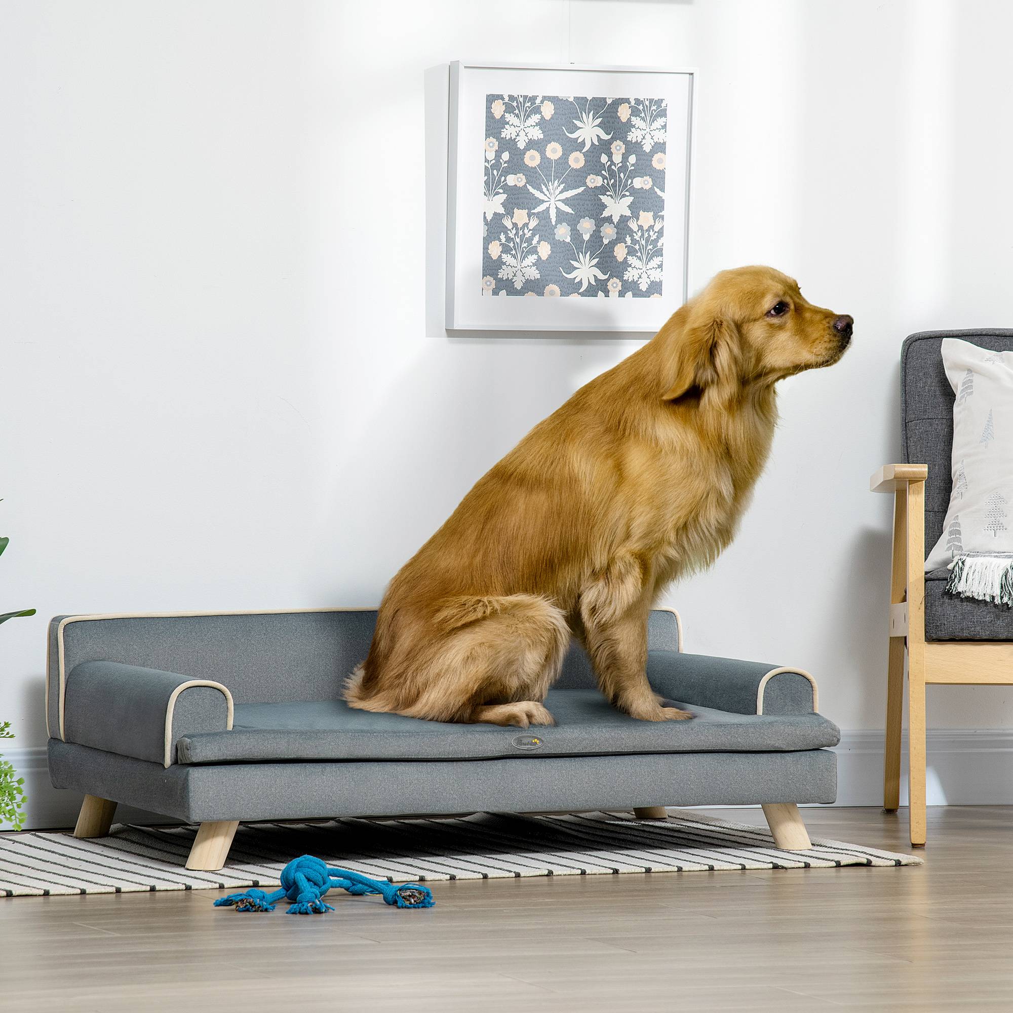 Canapé pour chien chat design scandinave coussin moelleux amovible pieds bois massif 100 x 62 x 32 cm gris - Image 3