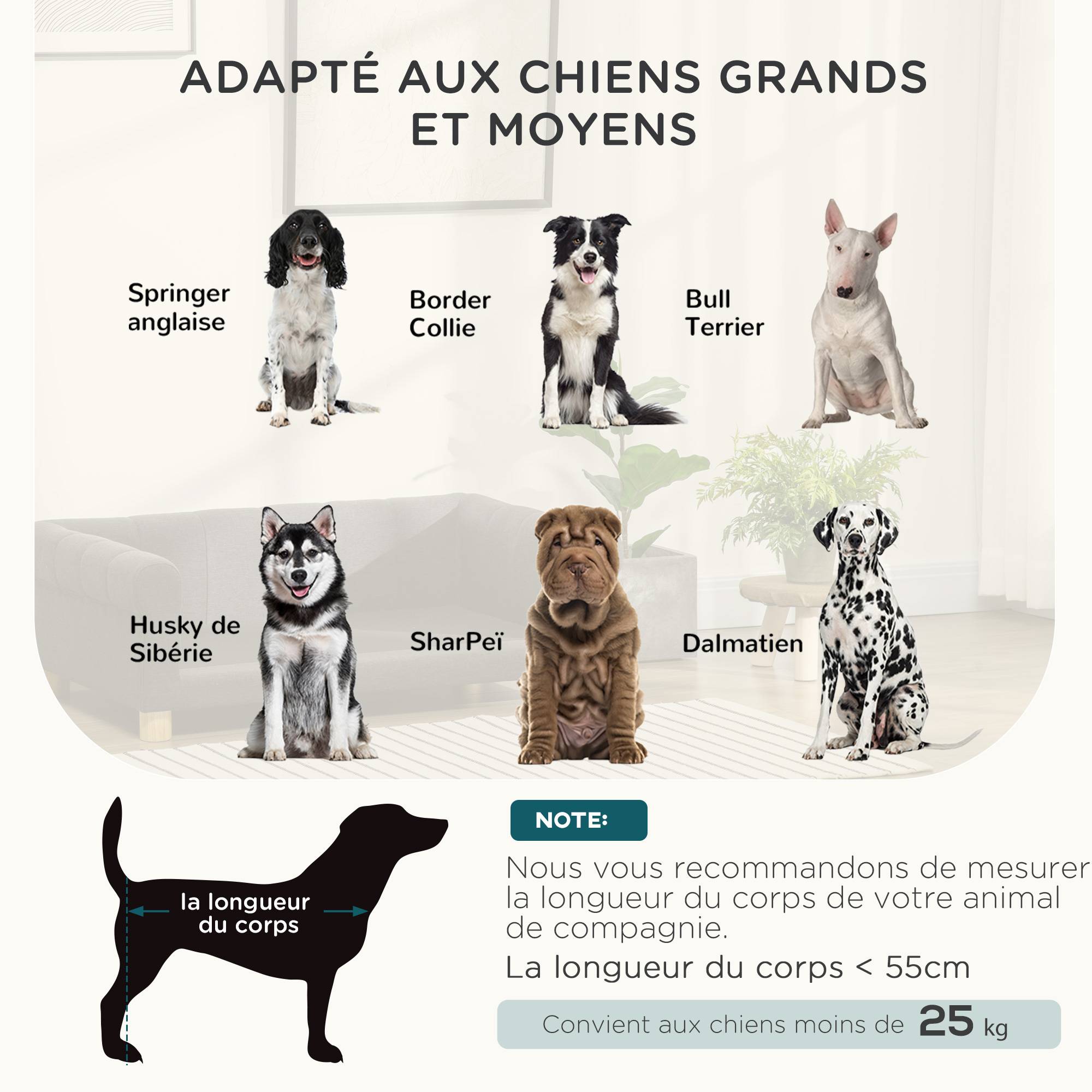 Canapé pour chien chat design scandinave coussin moelleux amovible pieds bois massif 100 x 62 x 32 cm gris - Image 6