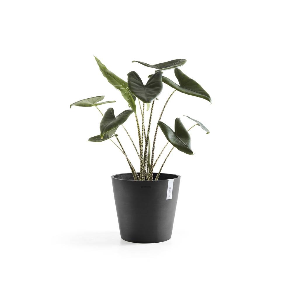 Ecopots - Pot Rond Amsterdam 25 Gris Foncé - Ø 25,4 x H. 24,5 cm - 9,7 L ECOPOTS - Imagen 2