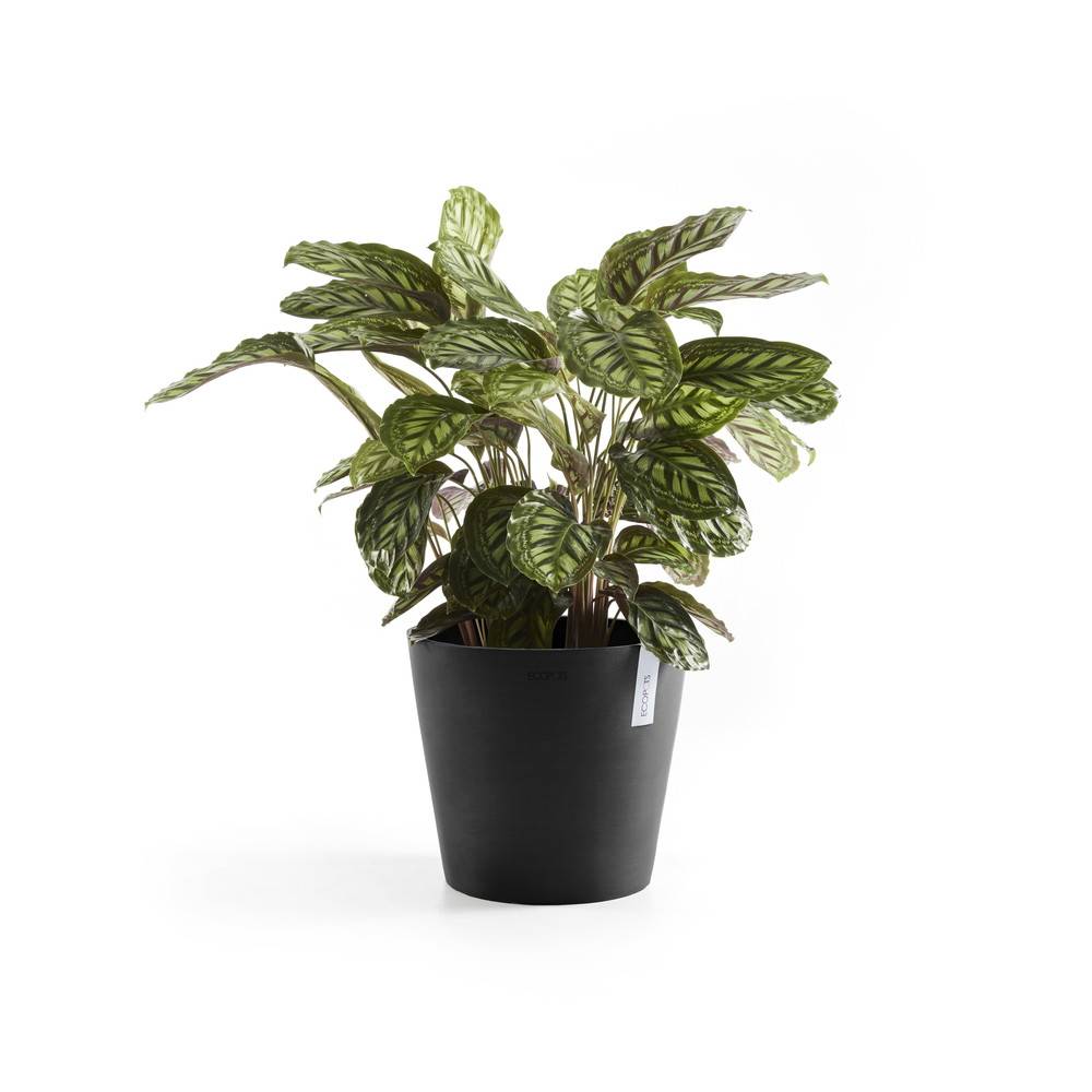 Ecopots - Pot Rond Amsterdam 25 Gris Foncé - Ø 25,4 x H. 24,5 cm - 9,7 L ECOPOTS - Imagen 4