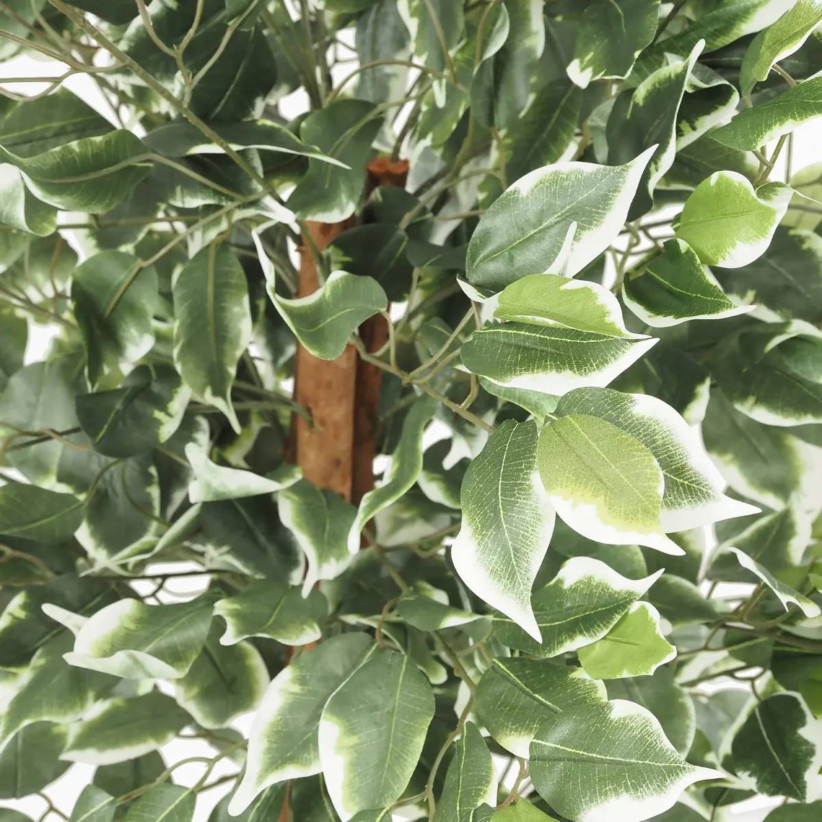 Ligne Deco - Ficus artificiel panaché 588 feuilles 120cm - Image 4
