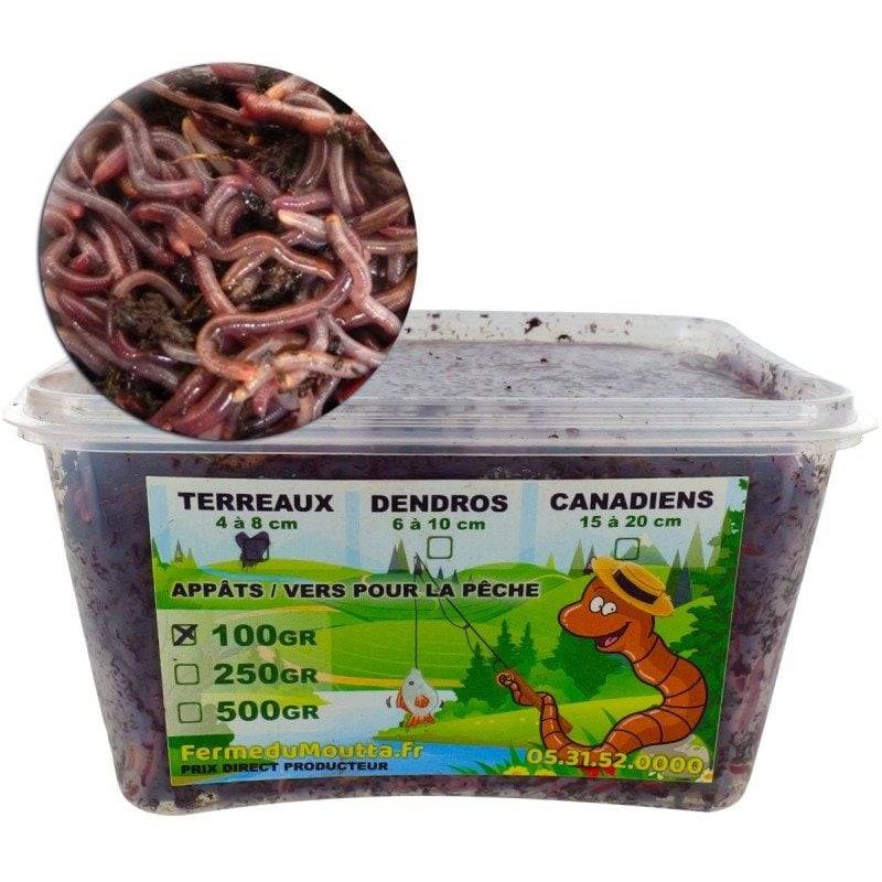 Ferme Du Moutta - Vers de terreau vivants Eisenia pour la pêche, 100 g, environ 150 à 200 vers - Image 1