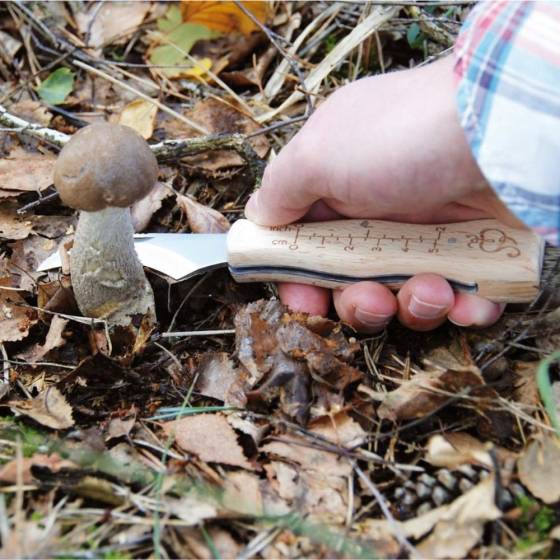 Esschert Design - Esschert Design - Couteau à champignons avec brosse - Imagen 4
