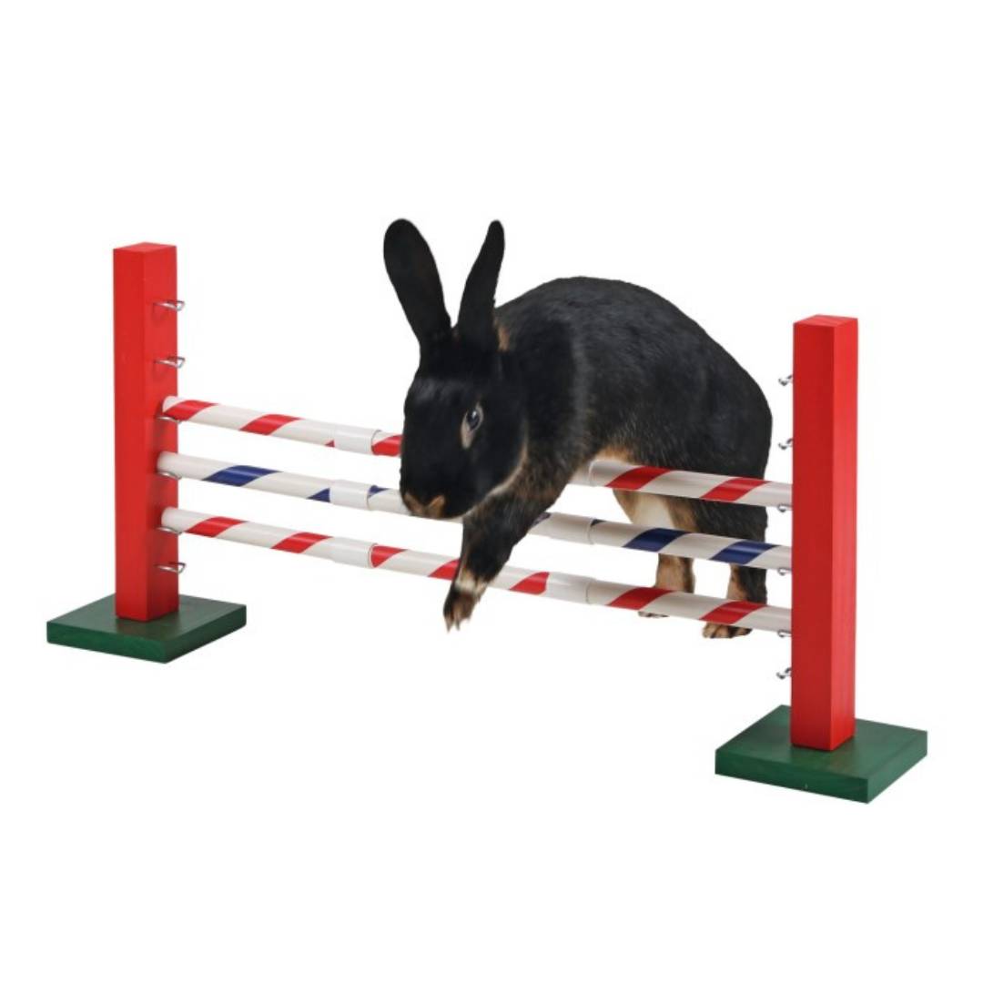Parcours pour lapin - Image 2