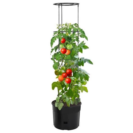 ComfortXL - Jardinière à tomate Polypropylène potager balcon avec tuteur croissance Ø39x150cm anthracite - ComfortXL Outdoor Living - Image 2