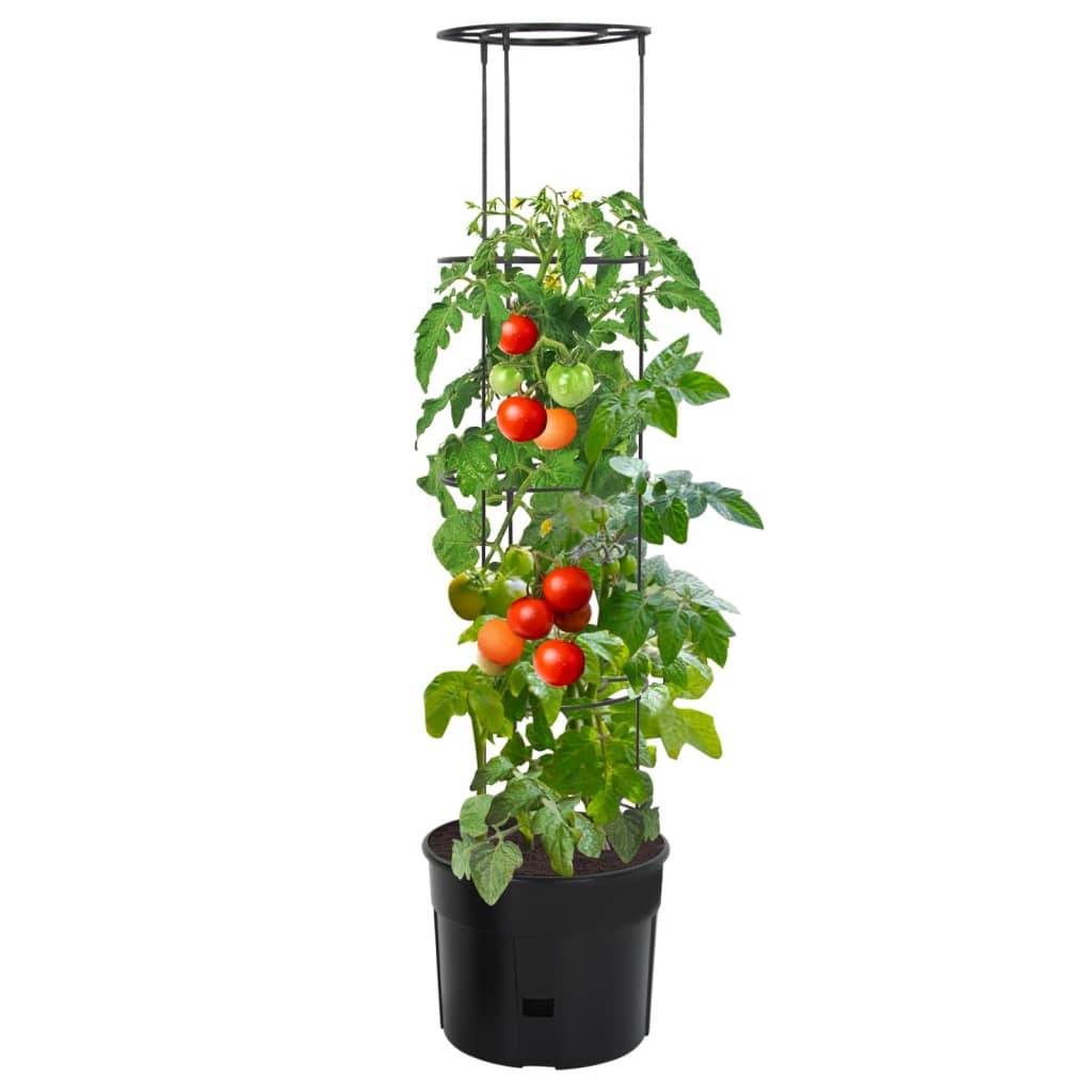 ComfortXL - Jardinière à tomate Polypropylène potager balcon avec tuteur croissance Ø39x150cm anthracite - ComfortXL Outdoor Living - Image 2