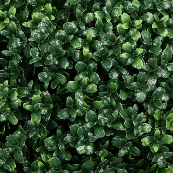 Lot de 2 Buis Artificiels Boule PE Décoration Extérieure Anti UV Vert 70cm - ComfortXL Outdoor Living - Image 10