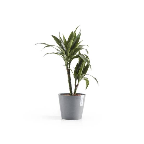 Ecopots - Pot Rond Amsterdam 20 Bleu Gris + réservoir d'eau - Ø 20 x H. 17,5 cm - 4 L ECOPOTS - Imagen 2