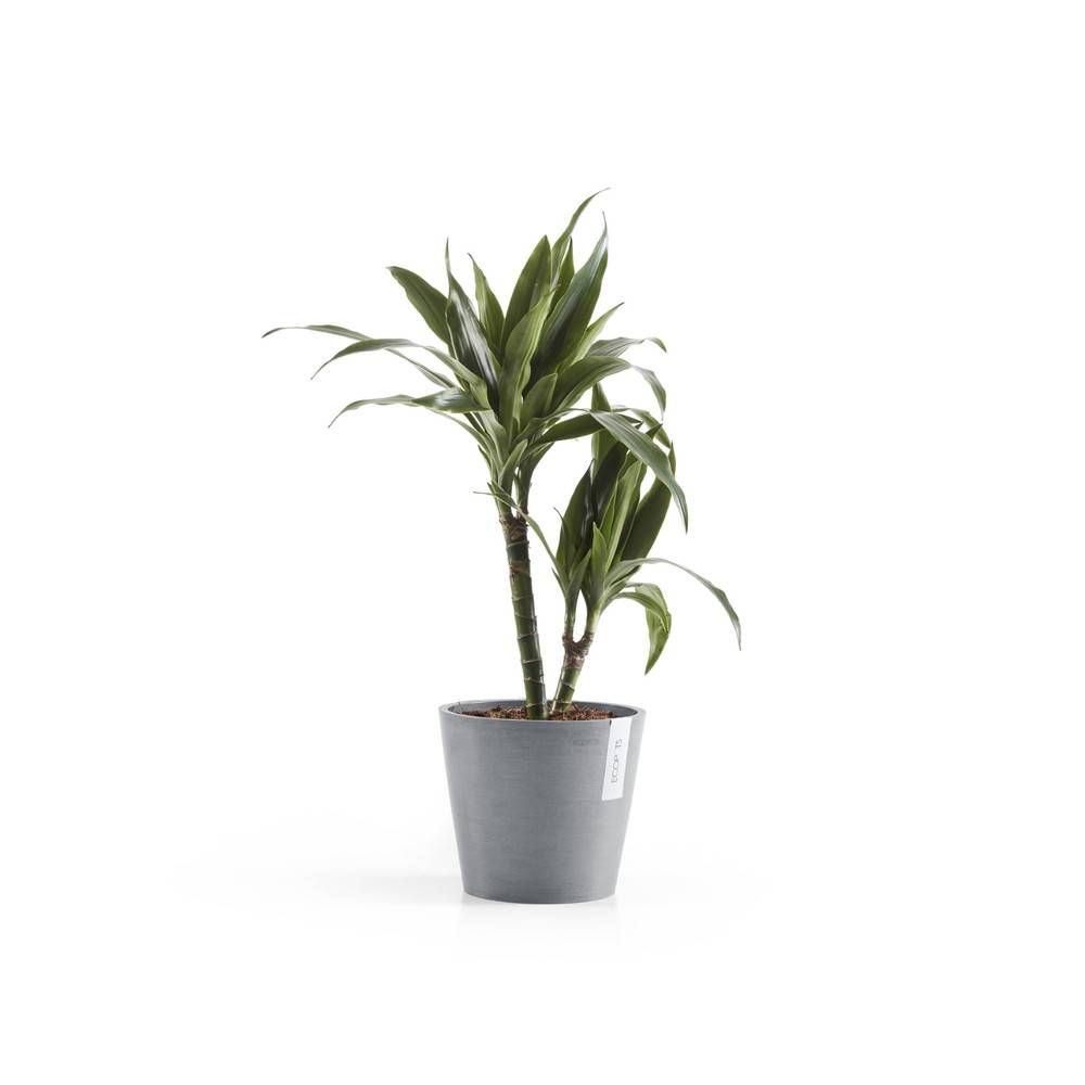 Ecopots - Pot Rond Amsterdam 20 Bleu Gris + réservoir d'eau - Ø 20 x H. 17,5 cm - 4 L ECOPOTS - Imagen 2