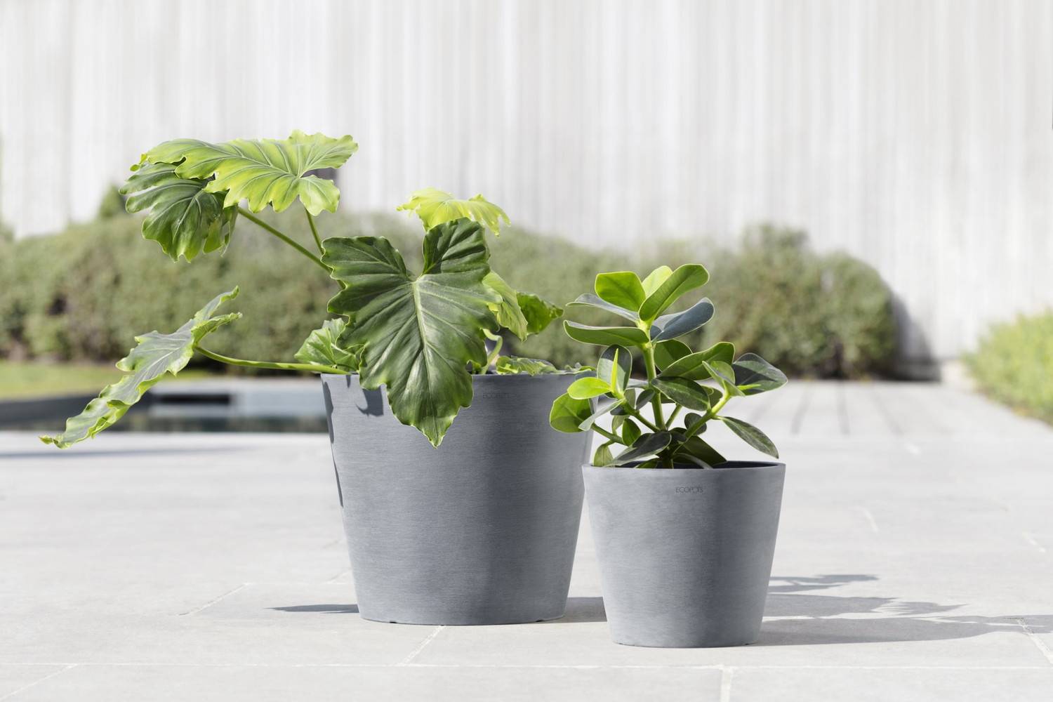 Ecopots - Pot Rond Amsterdam 20 Bleu Gris + réservoir d'eau - Ø 20 x H. 17,5 cm - 4 L ECOPOTS - Imagen 5