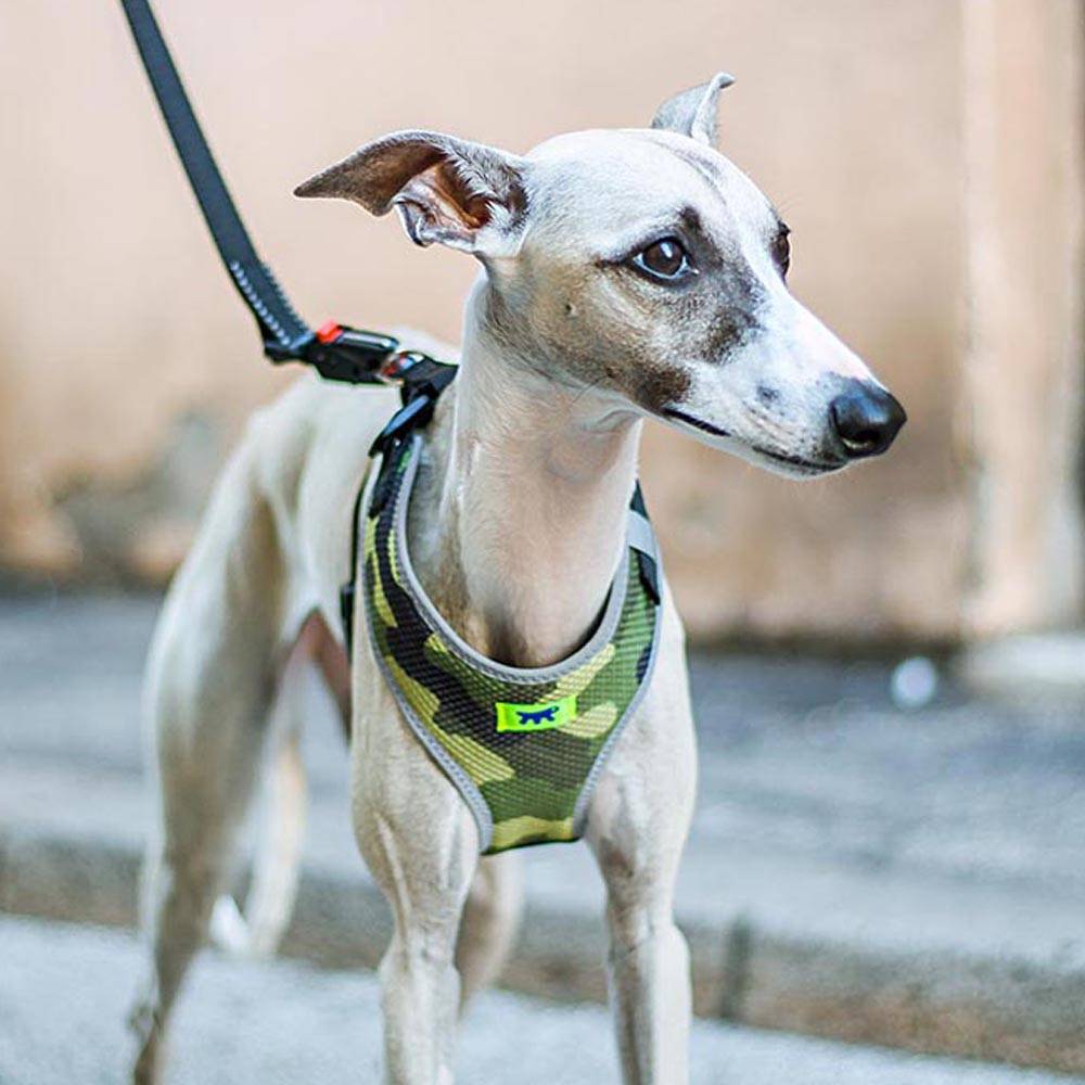 Ferplast - Ferplast Harnais Chien Taille Moyenne NIKITA M, Harnais pour Chien Respirant, Rembourré et Ajustable, Facile à Porter, Bords Réfléchissants, Poitrine - Imagen 5