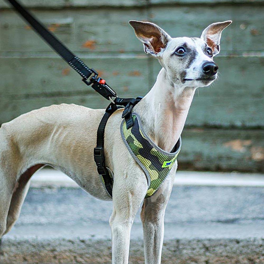 Ferplast - Ferplast Harnais Chien Taille Moyenne NIKITA M, Harnais pour Chien Respirant, Rembourré et Ajustable, Facile à Porter, Bords Réfléchissants, Poitrine - Imagen 4