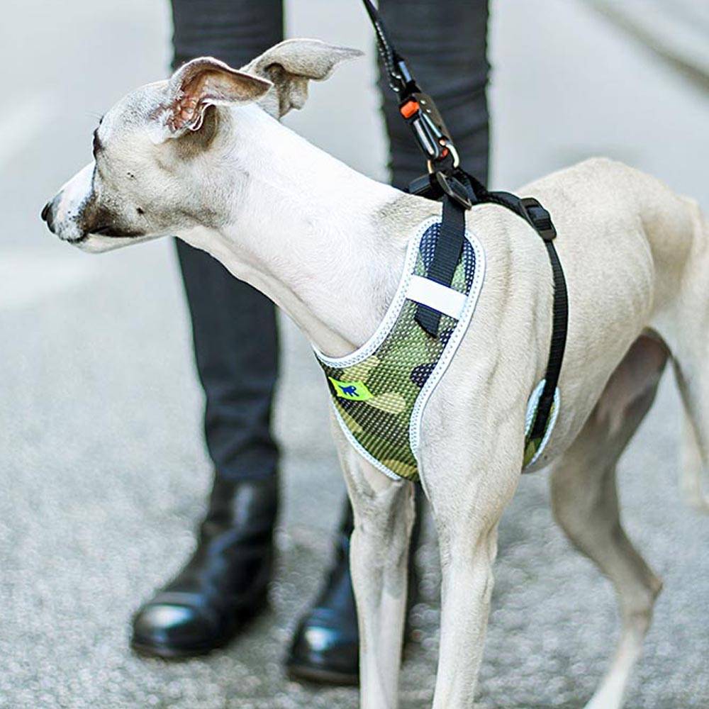 Ferplast - Ferplast Harnais Chien Taille Moyenne NIKITA M, Harnais pour Chien Respirant, Rembourré et Ajustable, Facile à Porter, Bords Réfléchissants, Poitrine - Imagen 6