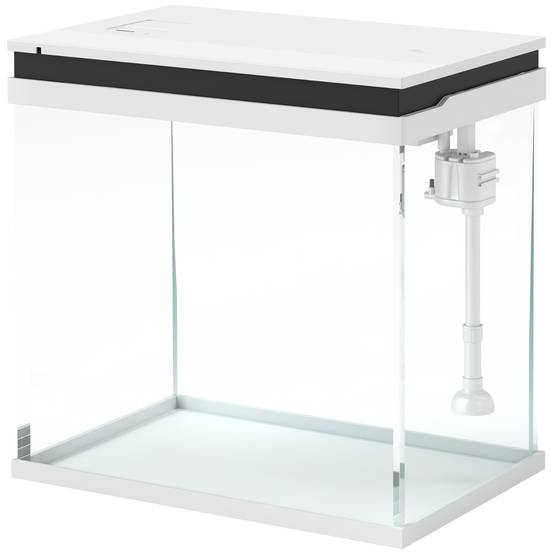 Sans Marque - Aquarium 43L en Verre Trempé avec Tapis de Protection Pour Poissons, Crevettes, Tortues, 50 x 30 x 30 cm, Transparent - Image 2