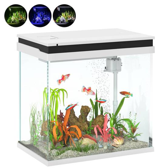 Sans Marque - Aquarium 43L en Verre Trempé avec Tapis de Protection Pour Poissons, Crevettes, Tortues, 50 x 30 x 30 cm, Transparent - Image 1