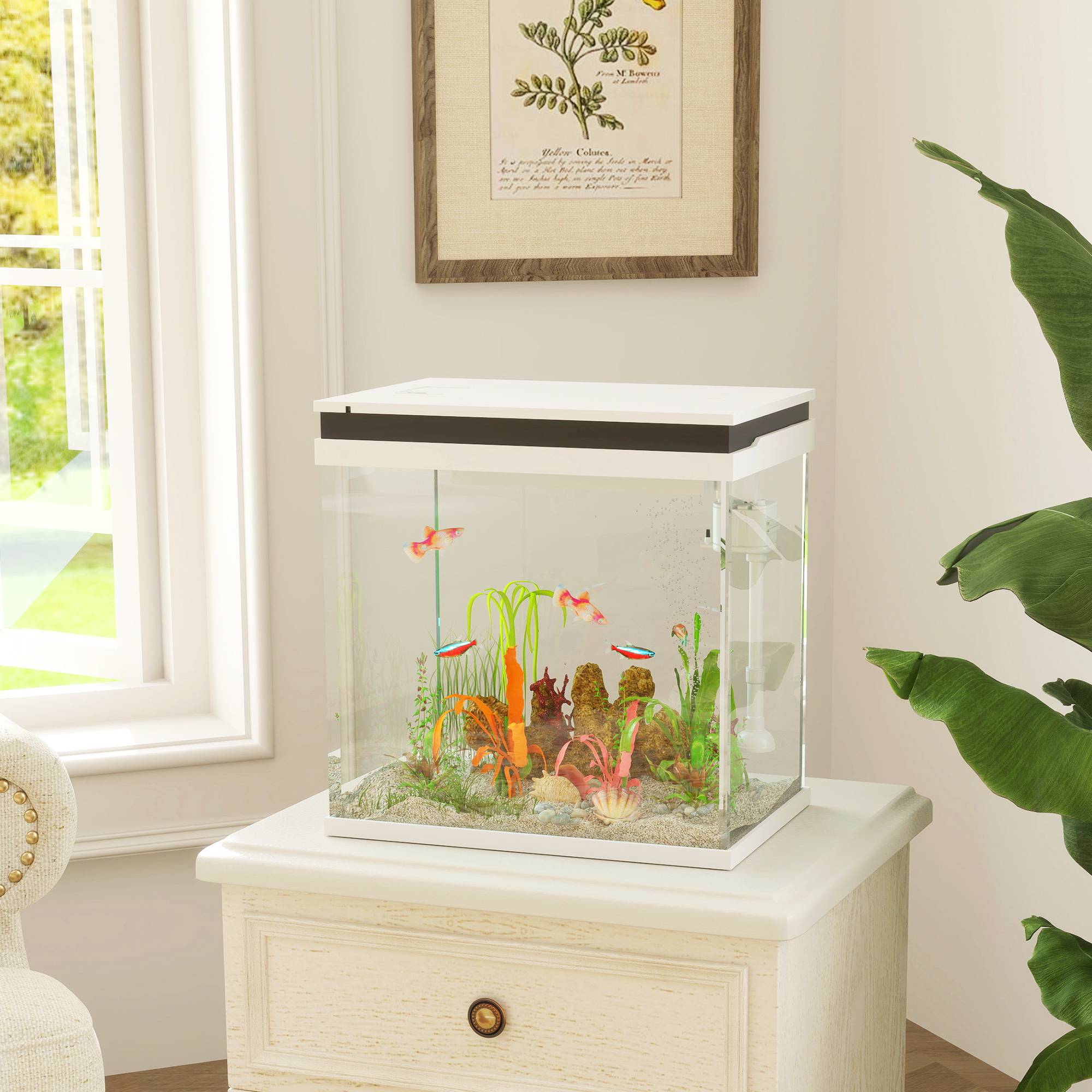 Sans Marque - Aquarium 43L en Verre Trempé avec Tapis de Protection Pour Poissons, Crevettes, Tortues, 50 x 30 x 30 cm, Transparent - Image 3