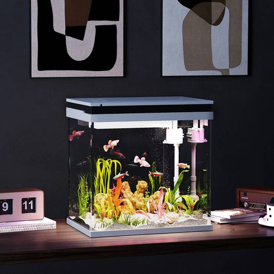 Sans Marque - Aquarium 43L en Verre Trempé avec Tapis de Protection Pour Poissons, Crevettes, Tortues, 50 x 30 x 30 cm, Transparent - Image 4