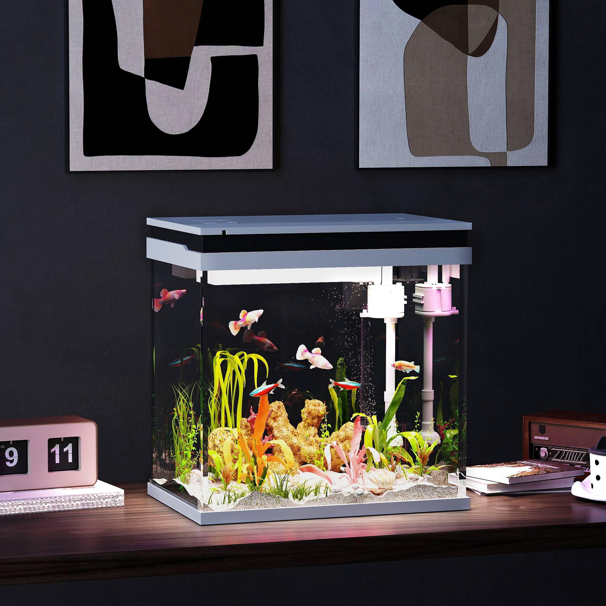 Sans Marque - Aquarium 43L en Verre Trempé avec Tapis de Protection Pour Poissons, Crevettes, Tortues, 50 x 30 x 30 cm, Transparent - Image 4