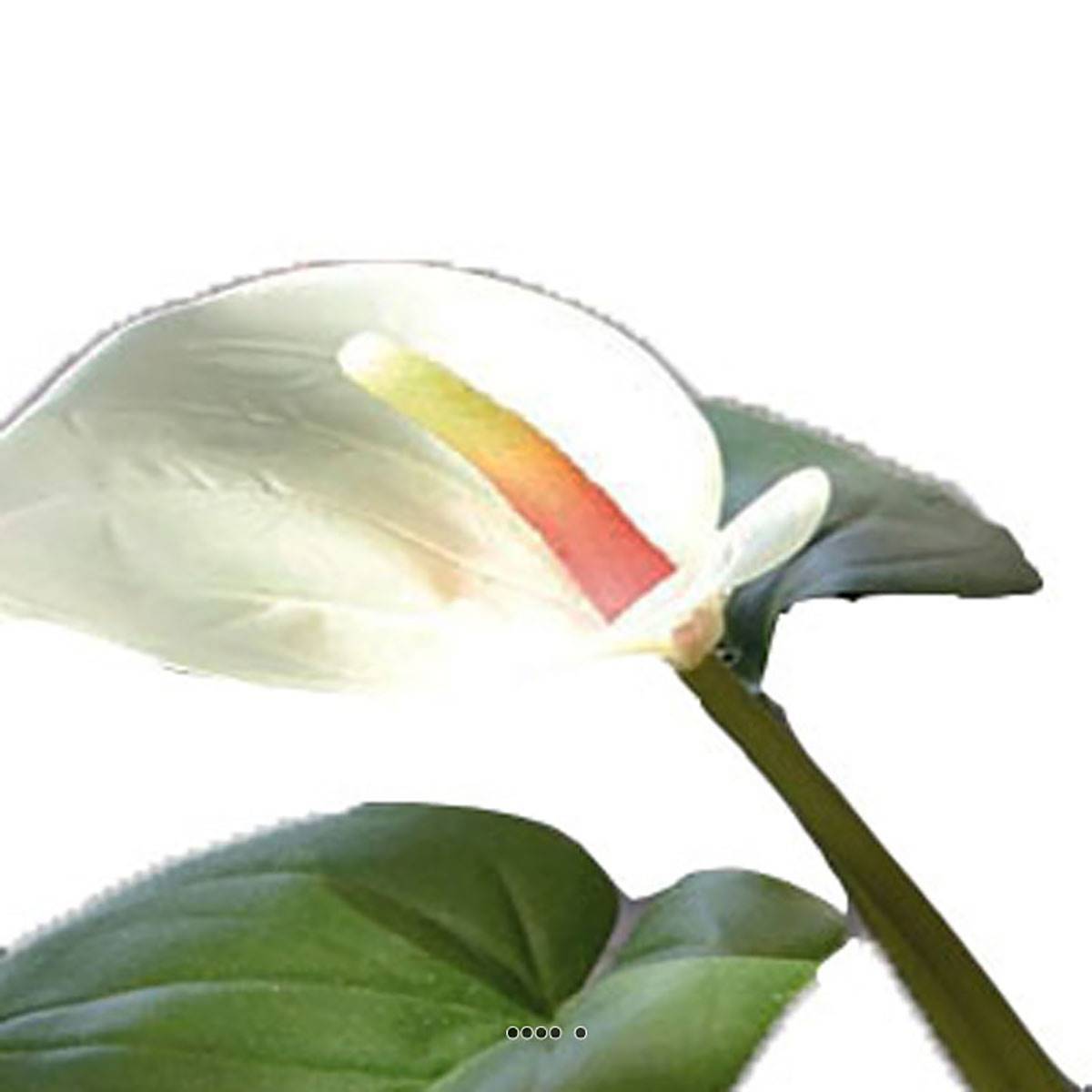 Artificielles - Superbe anthurium artificiel en pot H 41 cm Vert-rose - couleur: Vert-rose - Imagen 3