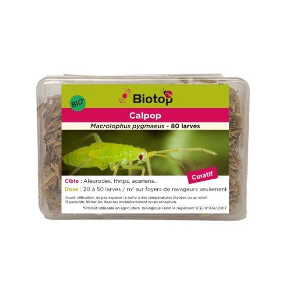 Biotop - Biotop - 80 larves Calpop - Imagen 1