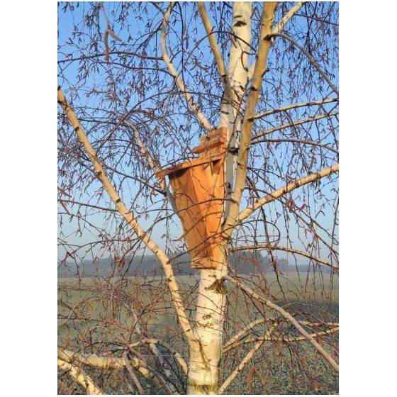 MKW - Nichoir grimpereau en bois - Imagen 2