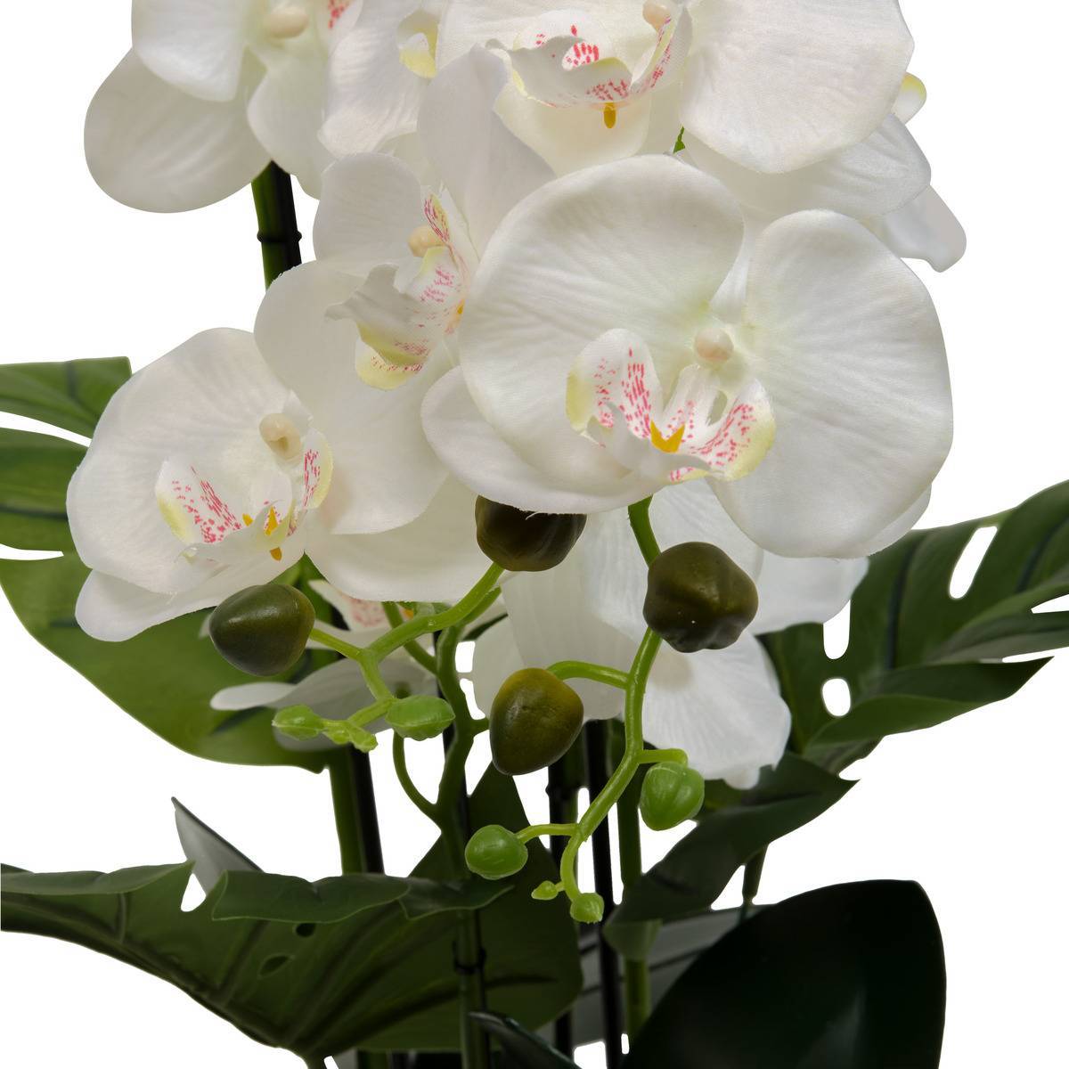 Atmosphera - Fleur Artificielle Asia Orchidée H81 cm Pot en Grès Vert - Atmosphera Créateur d'intérieur - Image 3