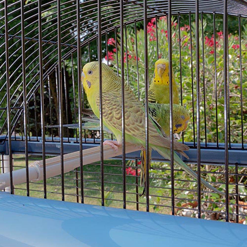 Ferplast - Ferplast Cage pour canaris et autres petits oiseaux exotiques PALLADIO 4, Design élégant avec toit panoramique, accessoires et mangeoires tournantes, - Imagen 5