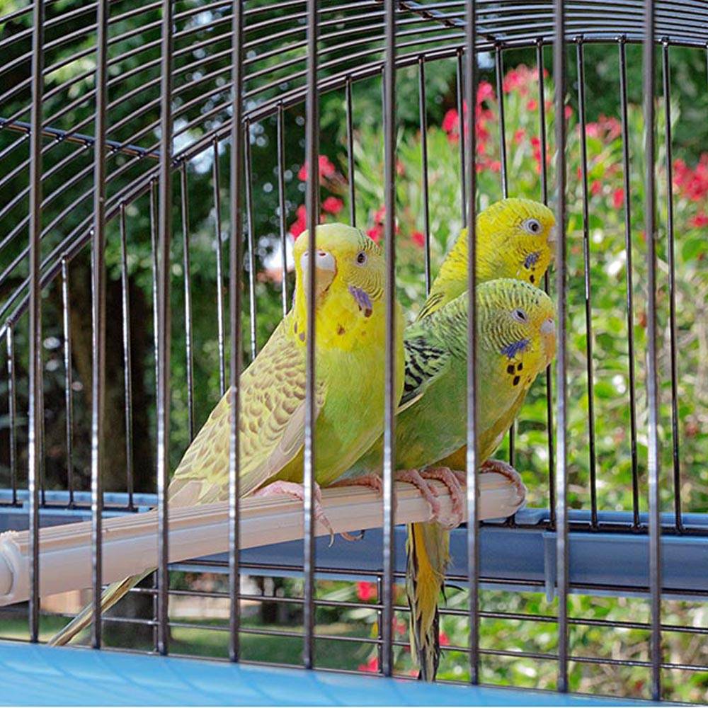 Ferplast - Ferplast Cage pour canaris et autres petits oiseaux exotiques PALLADIO 4, Design élégant avec toit panoramique, accessoires et mangeoires tournantes, - Imagen 4