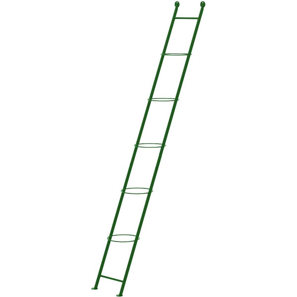 Komet - Support à plantes en acier Ladder - Imagen 1