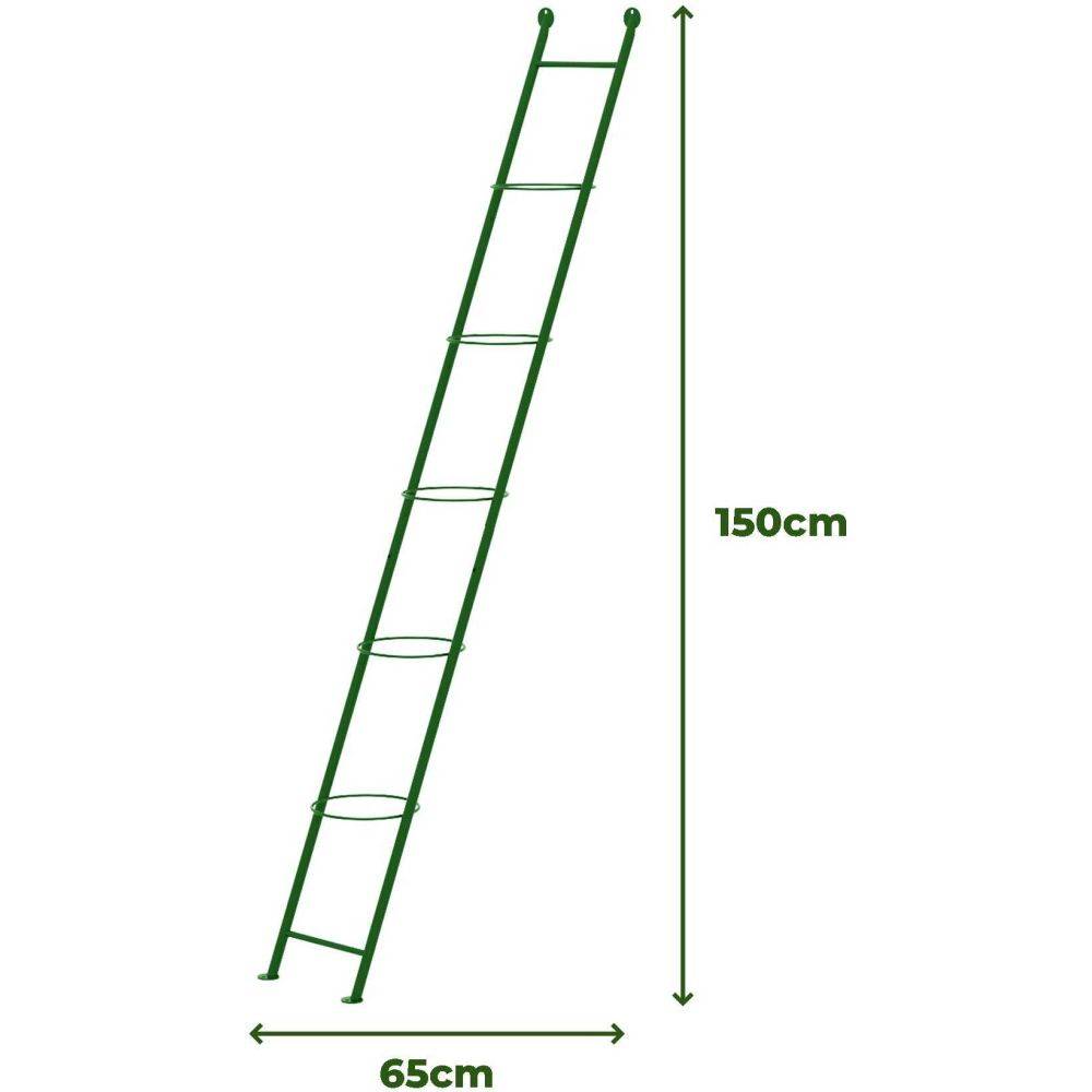 Komet - Support à plantes en acier Ladder - Imagen 3