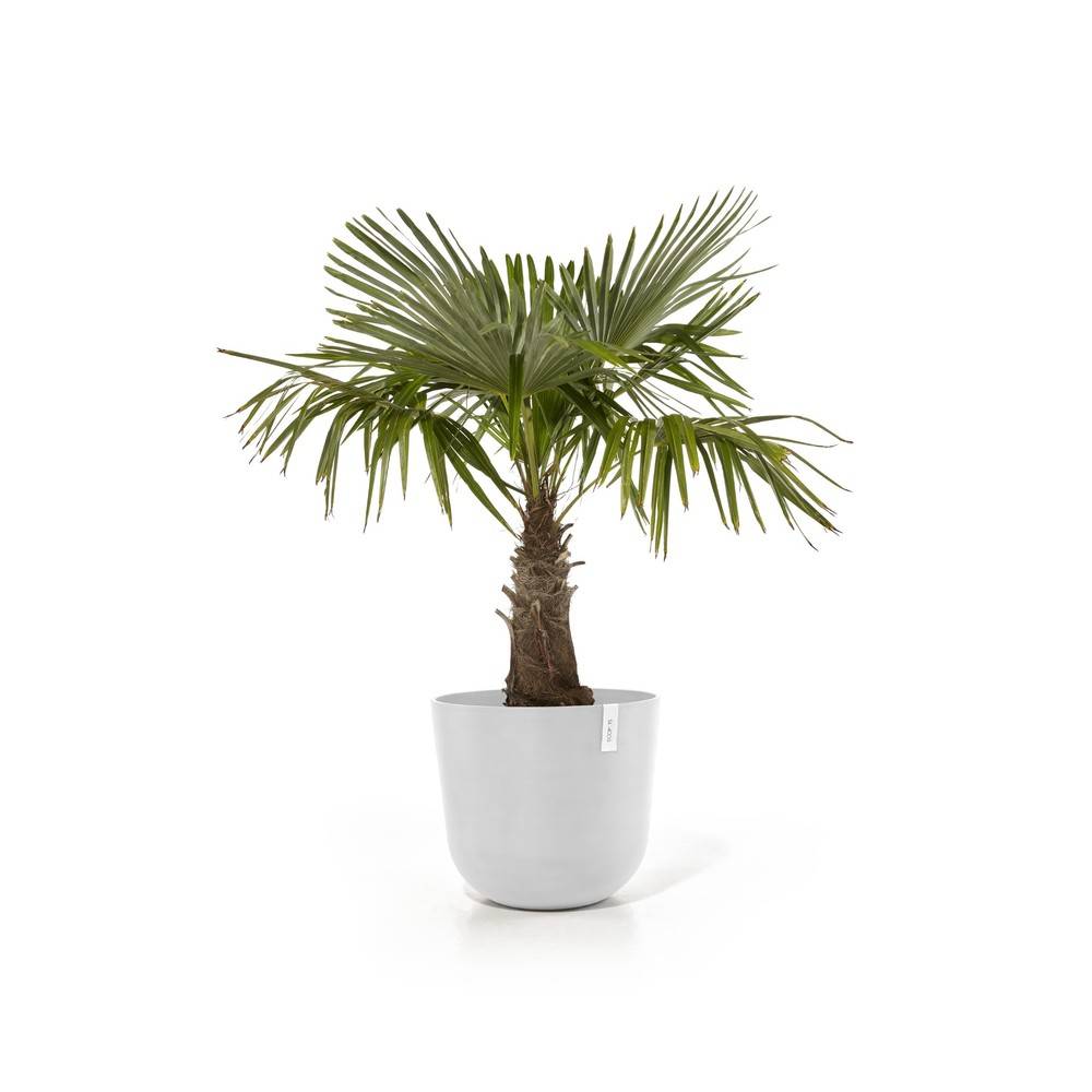 Ecopots - Pot Oslo 55 Pure White ECOPOTS - Imagen 2