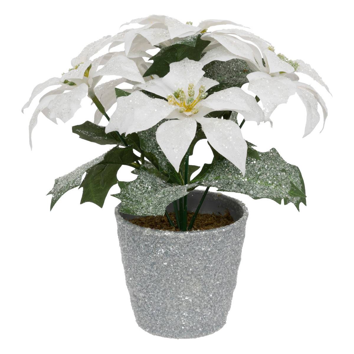 Plante artificiel Poinsettia Étoile de Noël Blanc pailleté en pot  H 22 cm