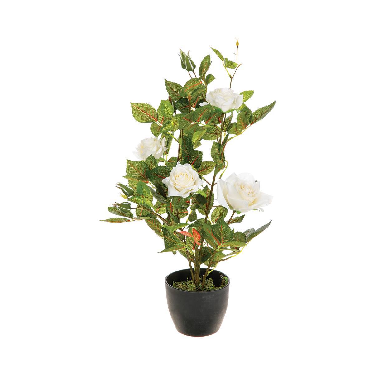 Atmosphera - Rosier artificiel pot ciment H50cm - Atmosphera Créateur d'intérieur - Imagen 2