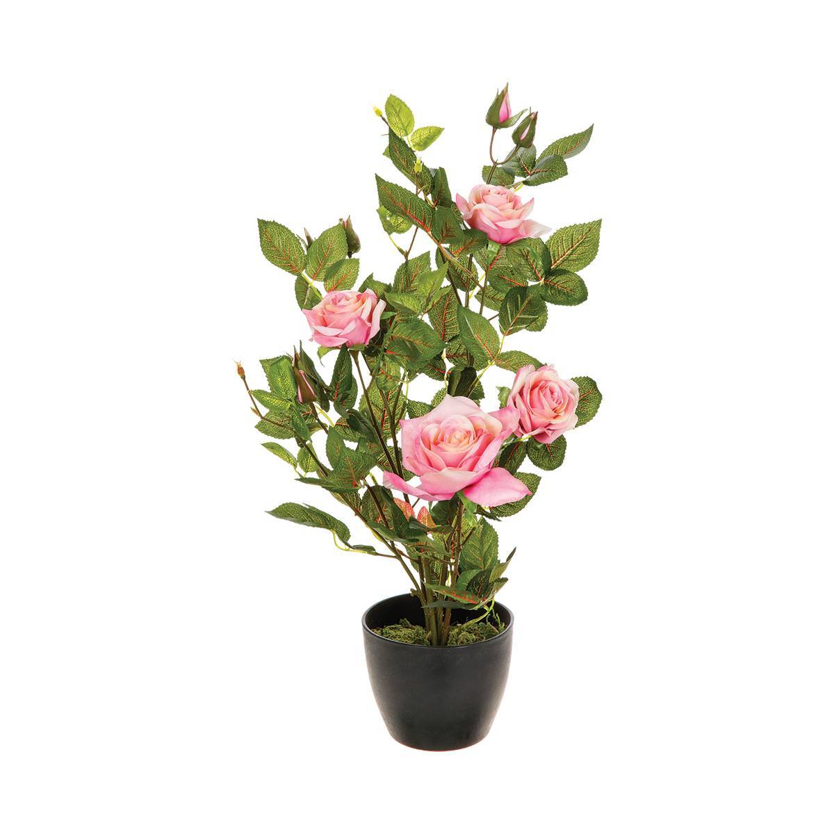 Atmosphera - Rosier artificiel pot ciment H50cm - Atmosphera Créateur d'intérieur - Imagen 5
