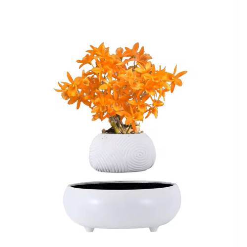 Mini-jardin en lévitation WHITE DREAM BABYLONIA MAGNETICLAND - Imagen 2