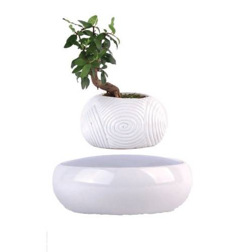 Mini-jardin en lévitation WHITE DREAM BABYLONIA MAGNETICLAND - Imagen 5