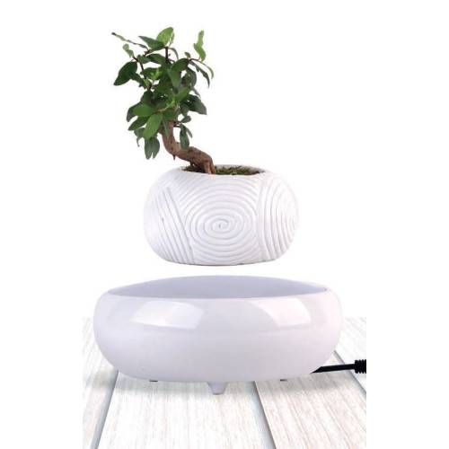Mini-jardin en lévitation WHITE DREAM BABYLONIA MAGNETICLAND - Imagen 6